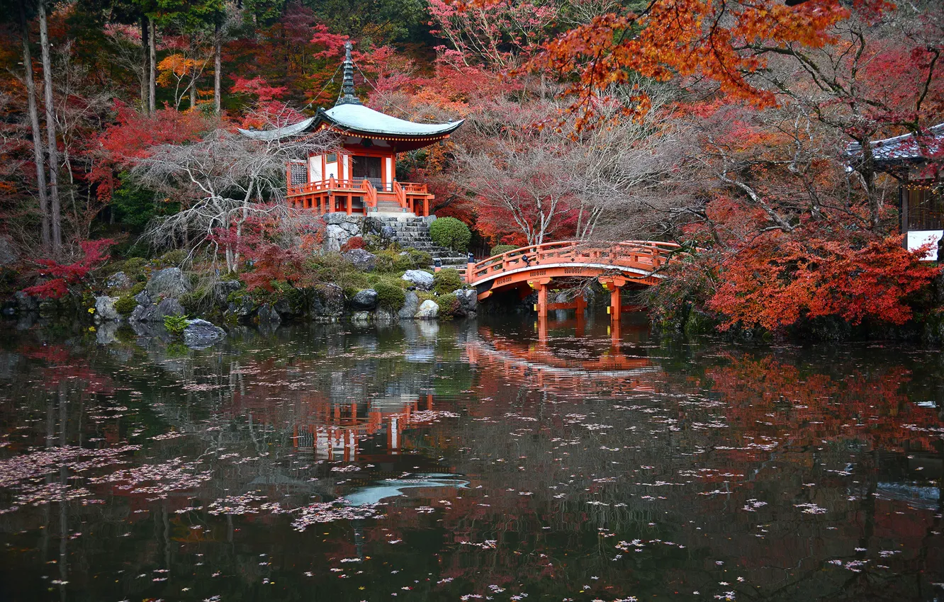 Photo wallpaper autumn, trees, pond, Park, stones, Japan, the bridge, Kyoto