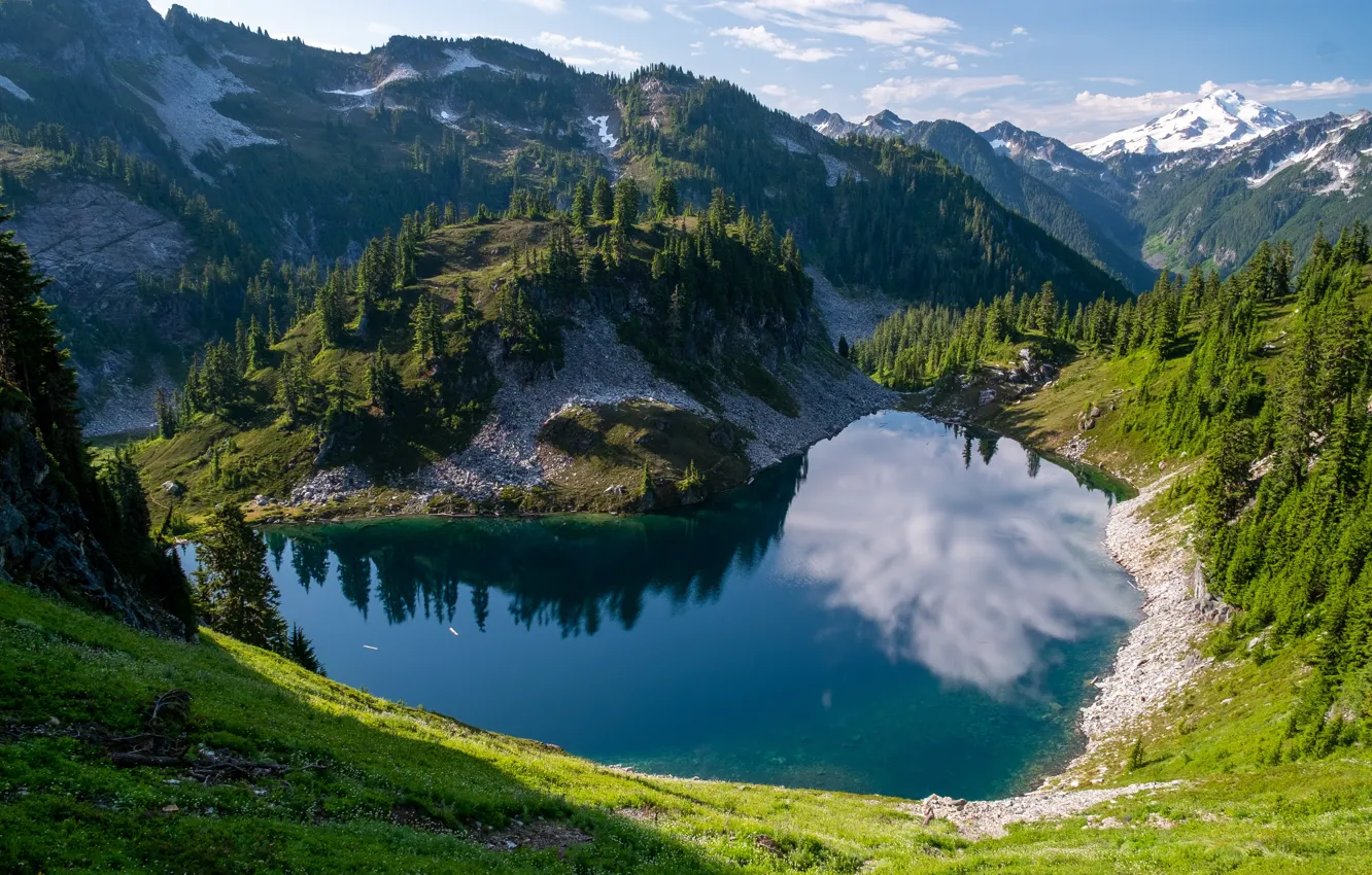 Photo wallpaper landscape, mountains, nature, USA, forest, national Park, Glacier