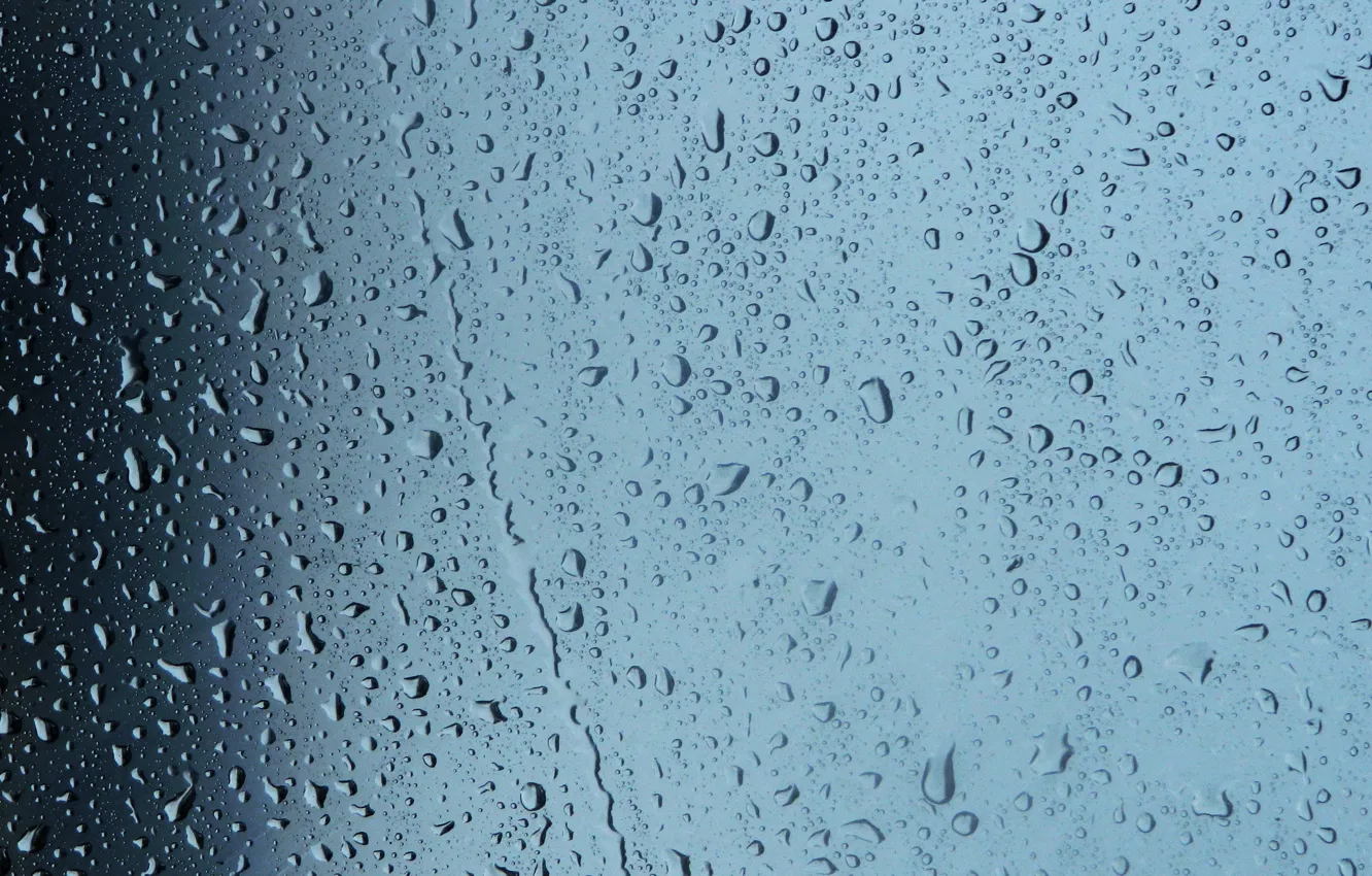 Photo wallpaper drops, droplets, rain, Water
