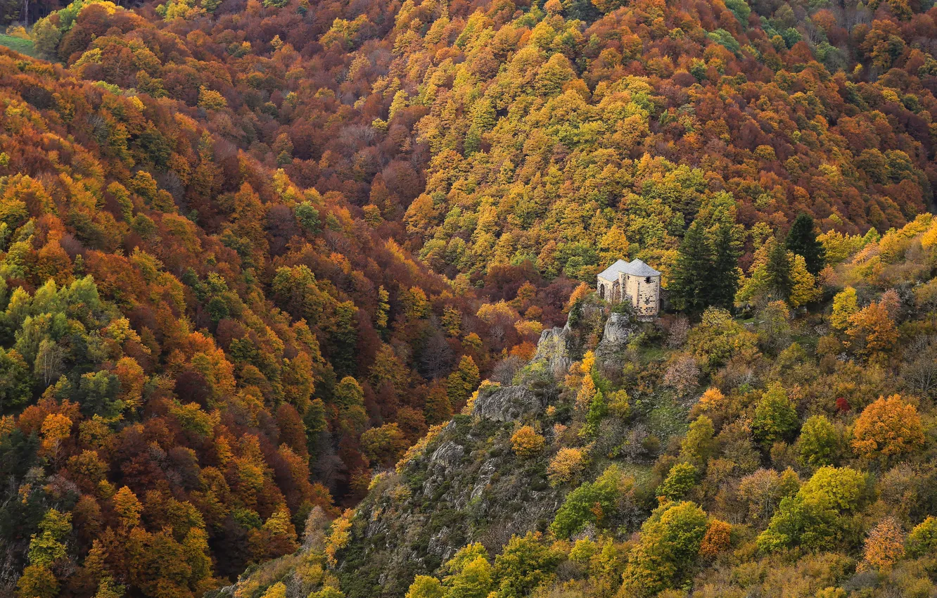 Photo wallpaper autumn, forest, mountains, castle, height, ruins