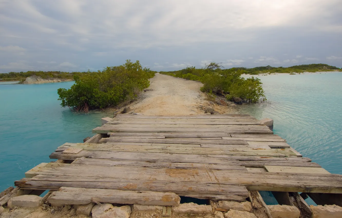 Photo wallpaper greens, water, bridge, nature, river, Board, track, log