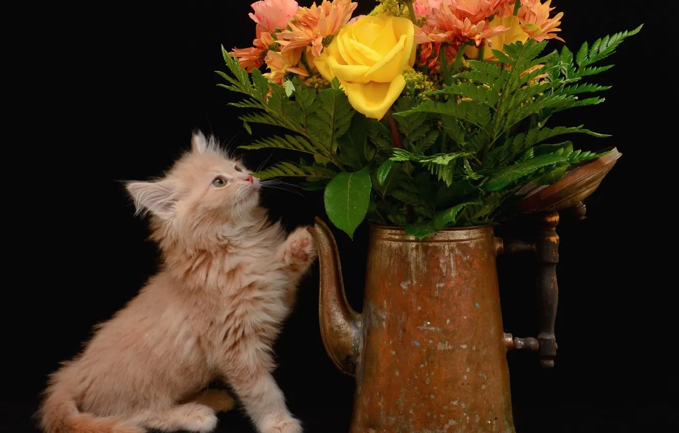 Photo wallpaper cat, flowers, bouquet, kitty