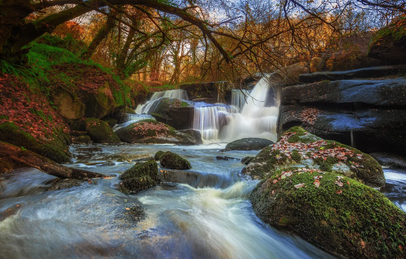 Photo wallpaper autumn, forest, leaves, nature, stones, waterfall, moss, stream