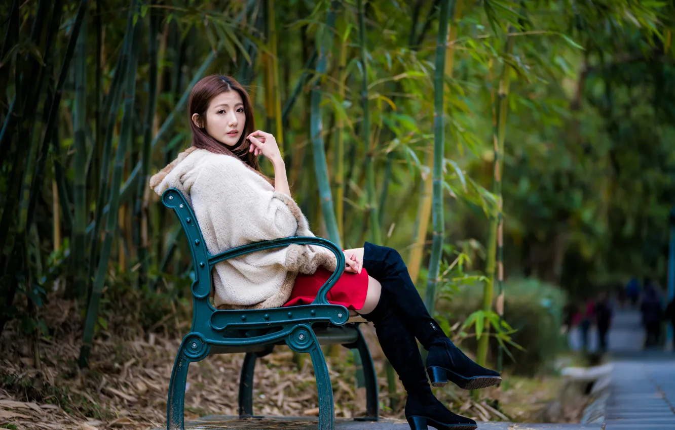 Photo wallpaper girl, Park, Asian, cutie, bench