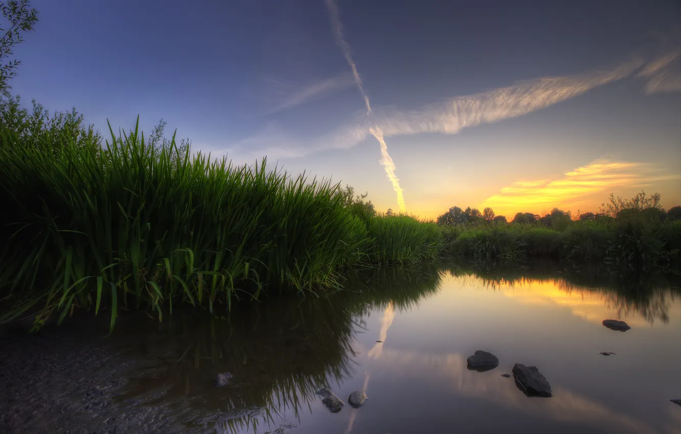 Photo wallpaper grass, sunset, lake, reflection, swamp