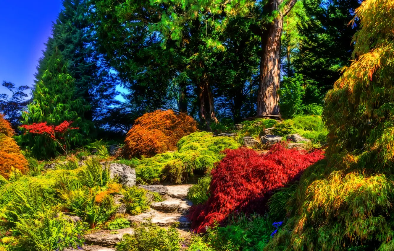 Photo wallpaper trees, treatment, garden, UK, the bushes, Sizergh Castle Garden