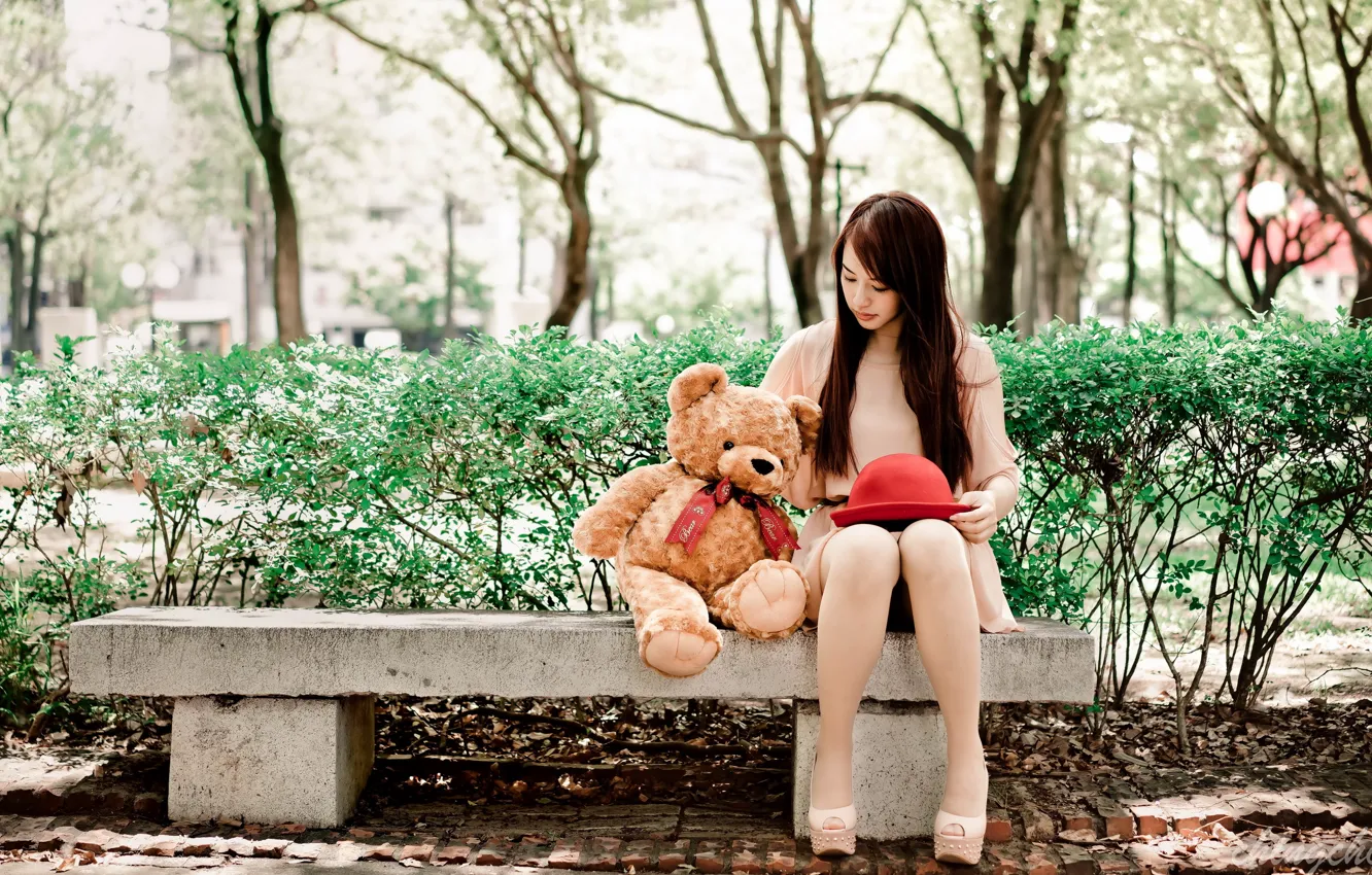 Photo wallpaper girl, bear, bench