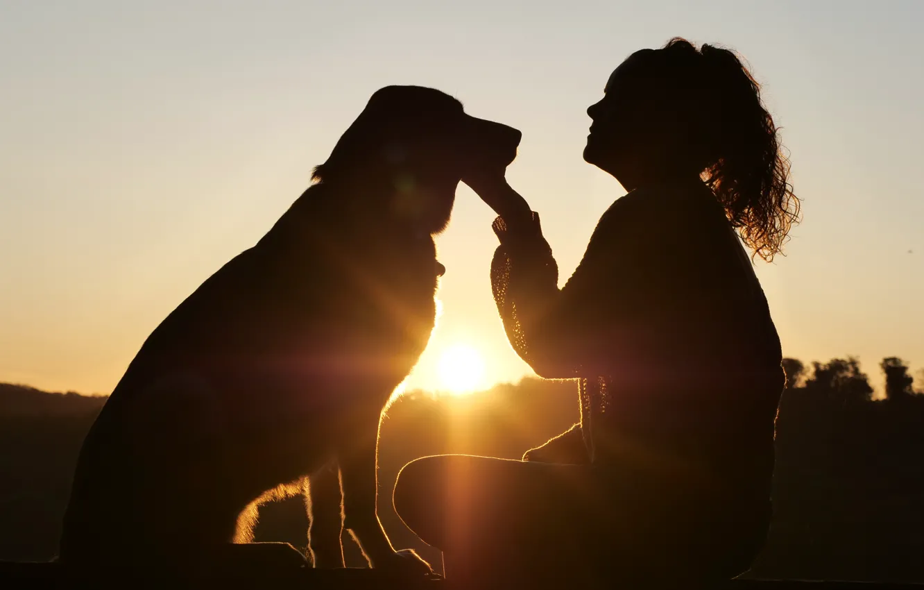 Photo wallpaper sunset, Girl, dog