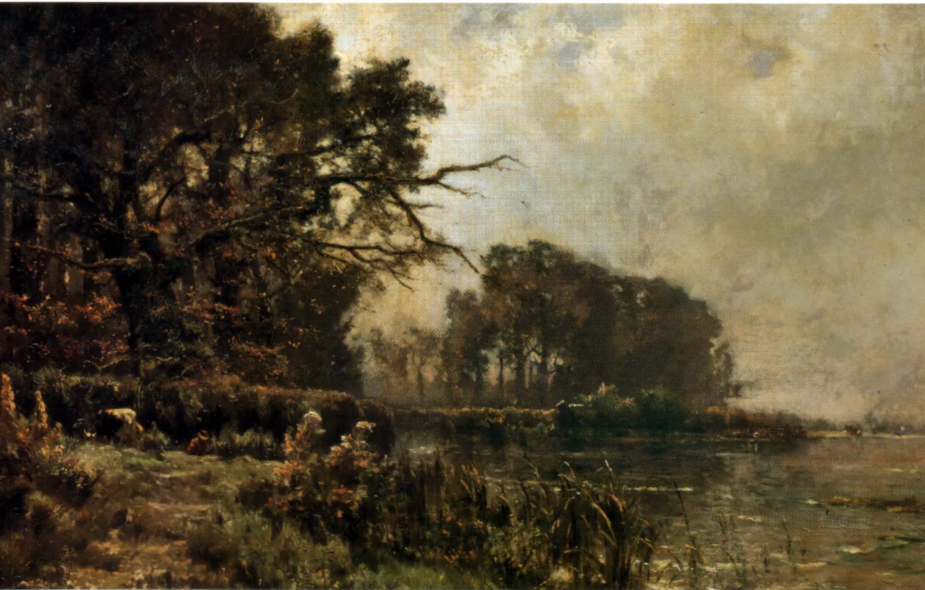 Photo wallpaper forest, grass, trees, river, ESchampheleer