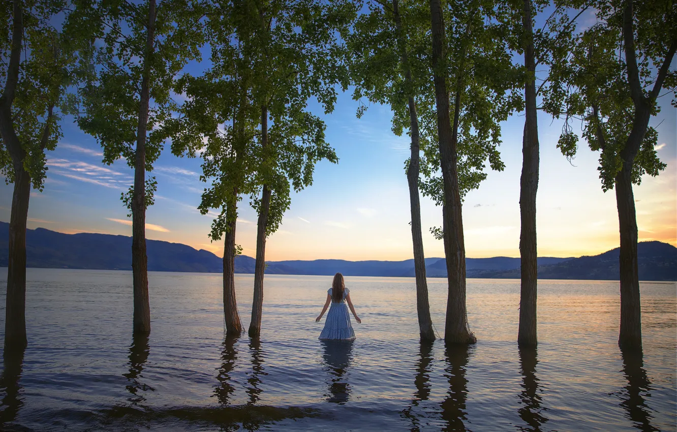 Photo wallpaper girl, trees, dress, in the water, Lichon, Floodplains