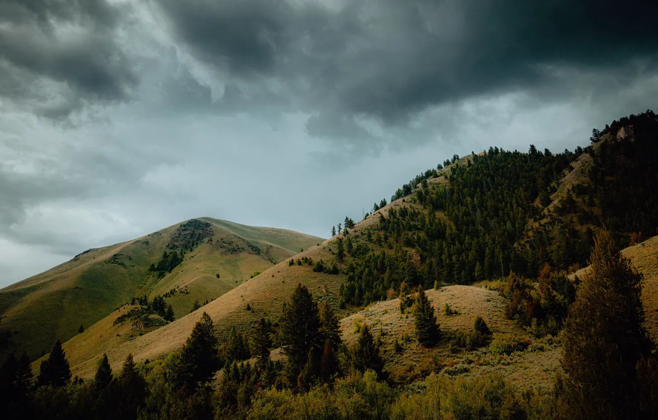 Photo wallpaper forest, the sky, clouds, mountains, clouds, overcast, slope
