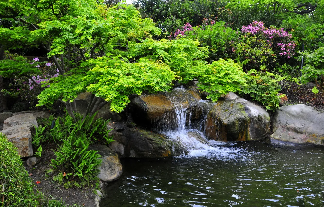 Photo wallpaper stones, garden, CA, the bushes, Miller Japanese Garden, stream.waterfall
