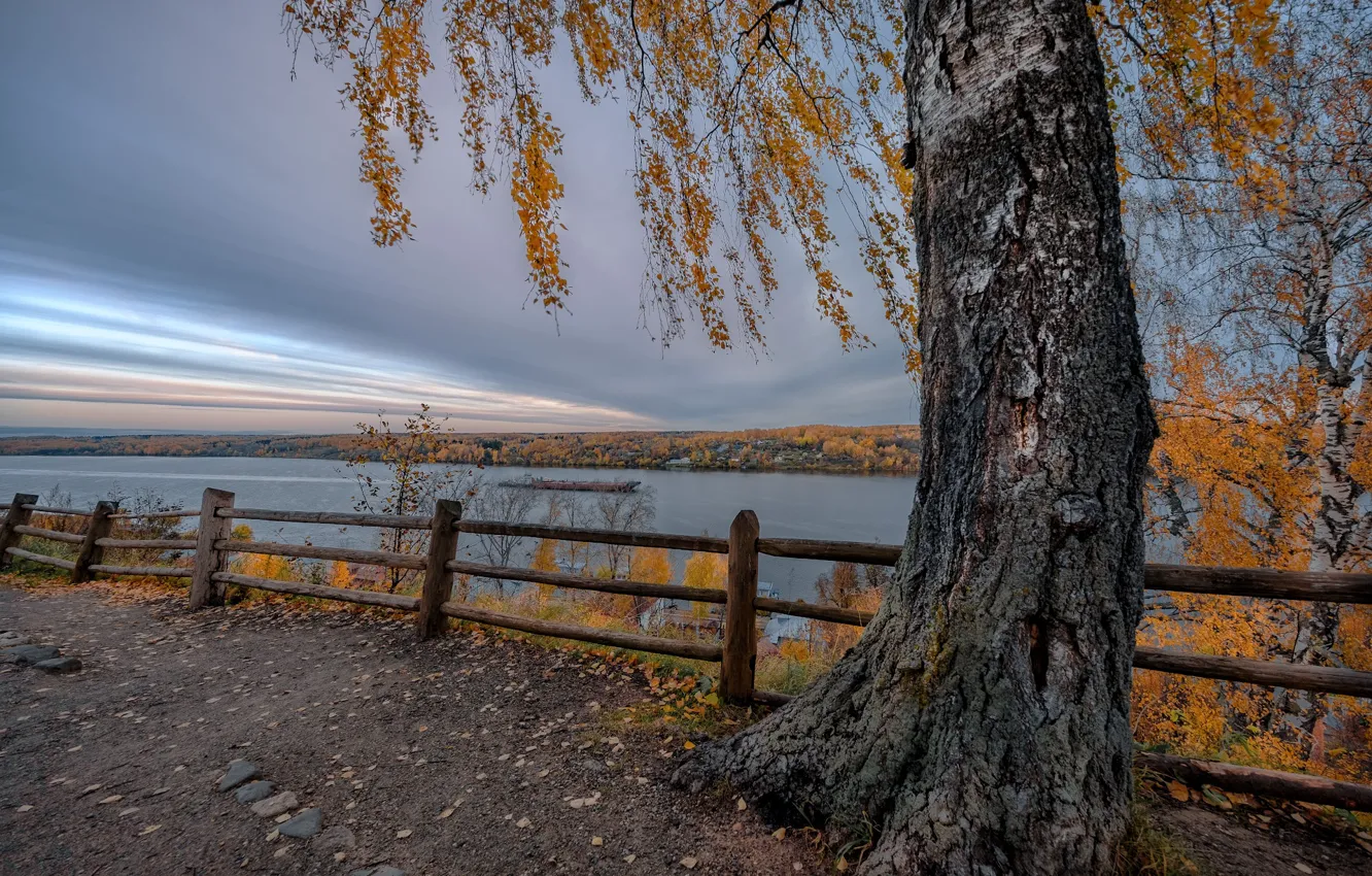Photo wallpaper autumn, trees, landscape, branches, nature, the city, river, the fence