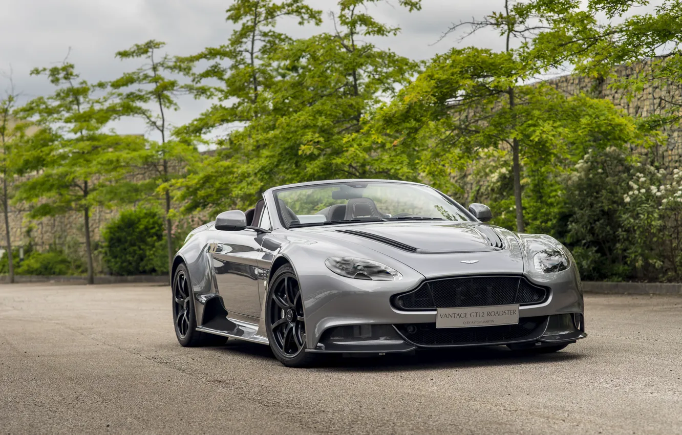 Photo wallpaper Aston Martin, Roadster, Vantage, Aston Martin, Roadster, vintage