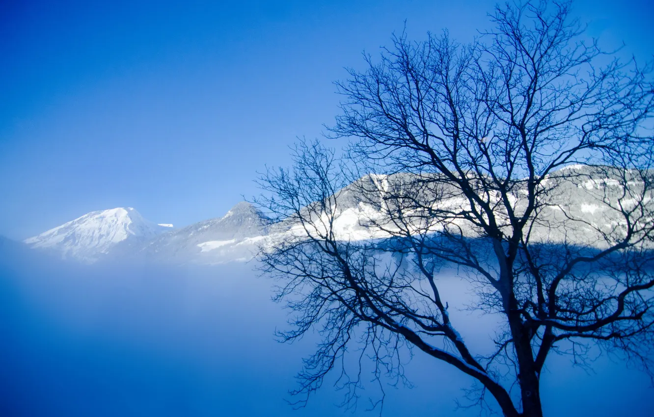 Photo wallpaper the sky, trees, landscape, mountains