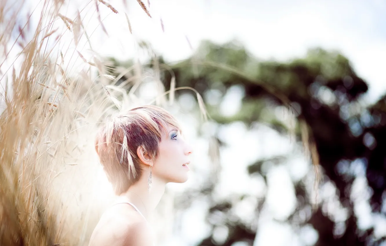 Photo wallpaper girl, light, ears