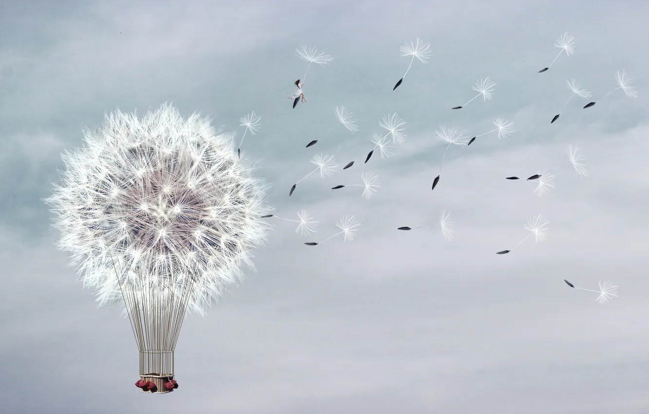 Photo wallpaper girl, background, dandelion