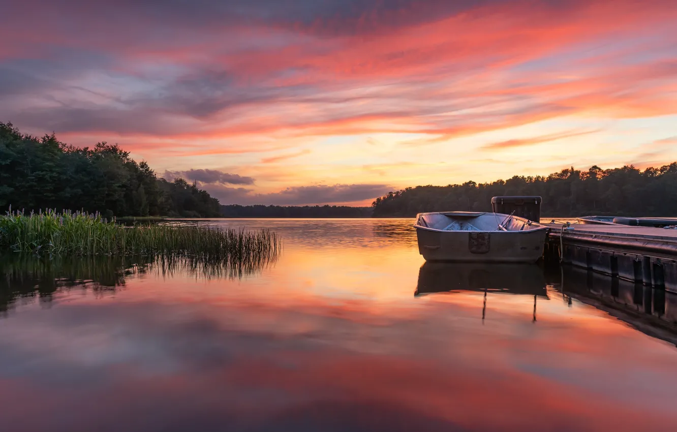 Photo wallpaper forest, summer, the sky, grass, clouds, sunset, lake, reflection