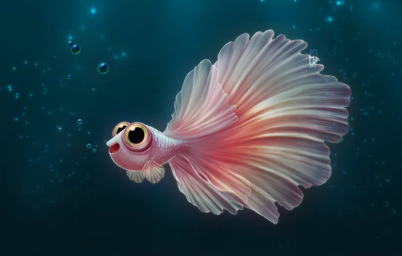 Photo wallpaper fish, pink, under water, by Florianne Becker
