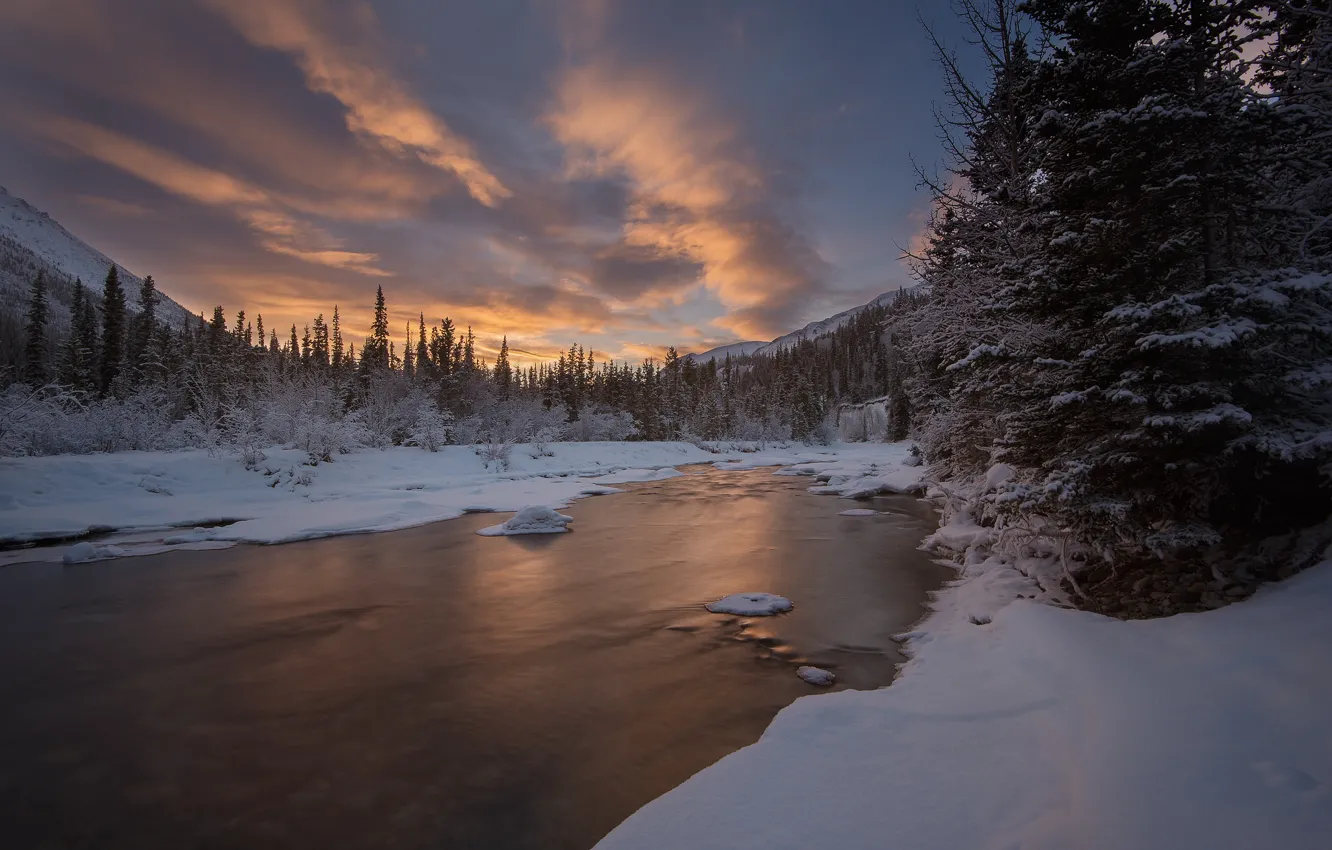 Photo wallpaper winter, forest, the sky, snow, river, Canada, Canada, Yukon