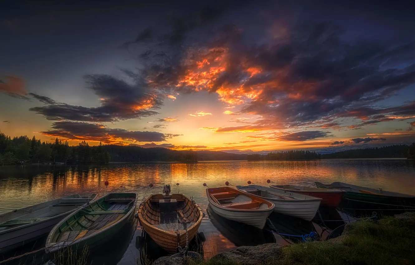 Photo wallpaper forest, the sky, trees, sunset, river, shore, boat, the evening