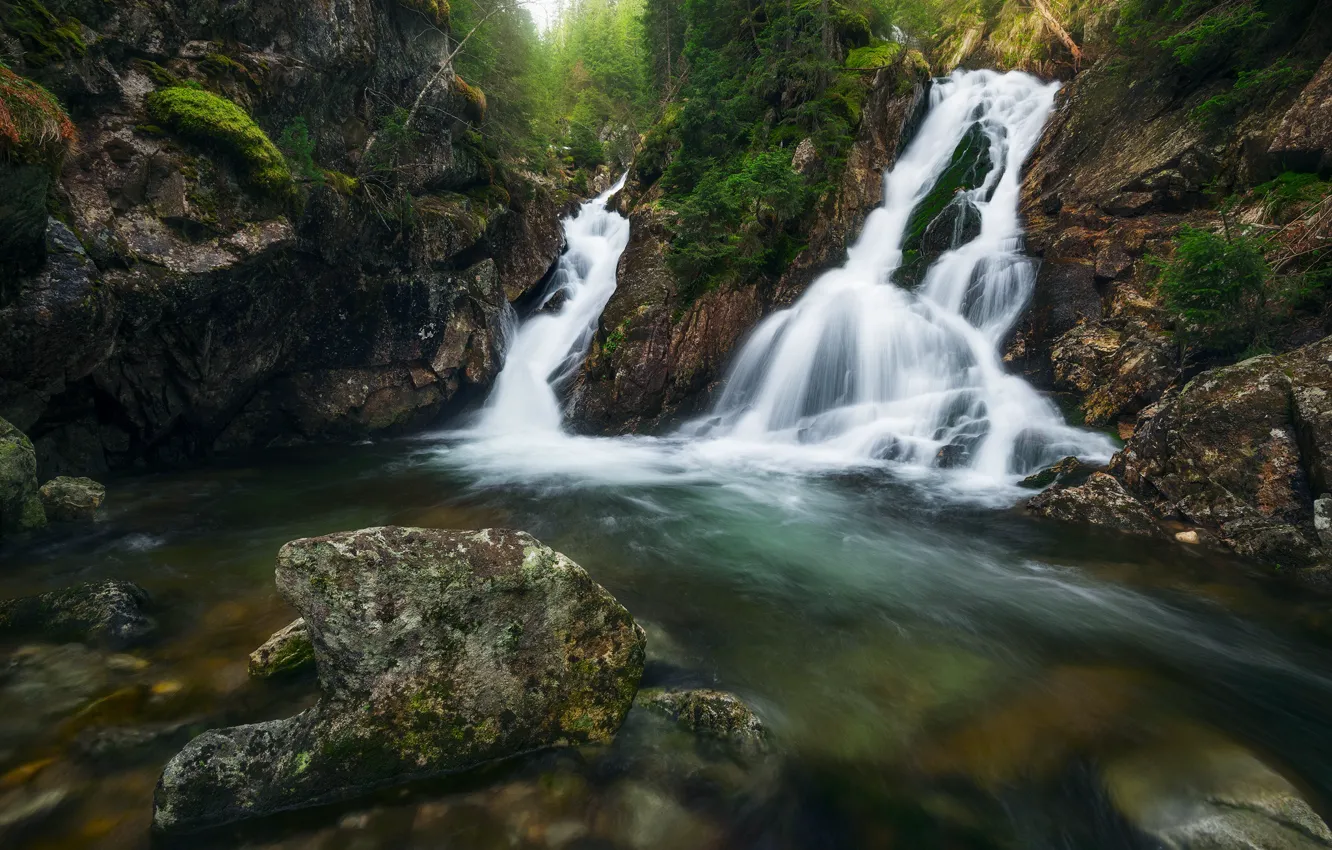 Photo wallpaper forest, summer, stones, rocks, waterfall, stream, pond, stones
