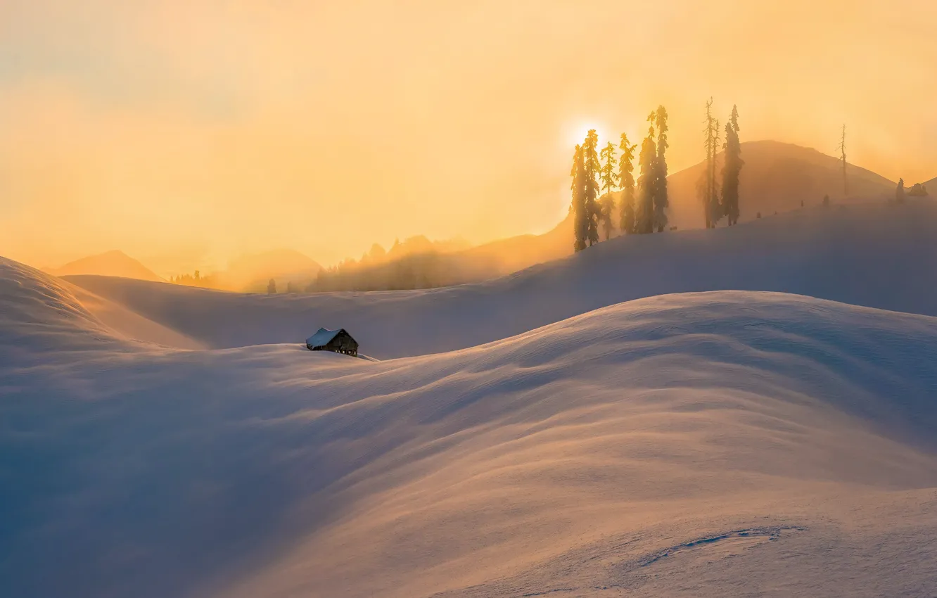 Photo wallpaper winter, light, snow, haze