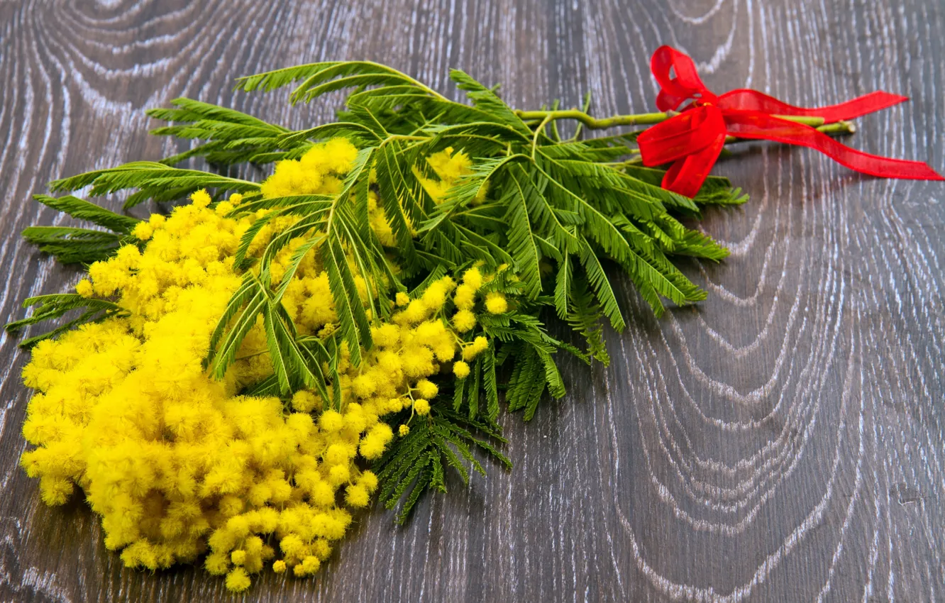 Photo wallpaper background, bouquet, bow, yellow Mimosa