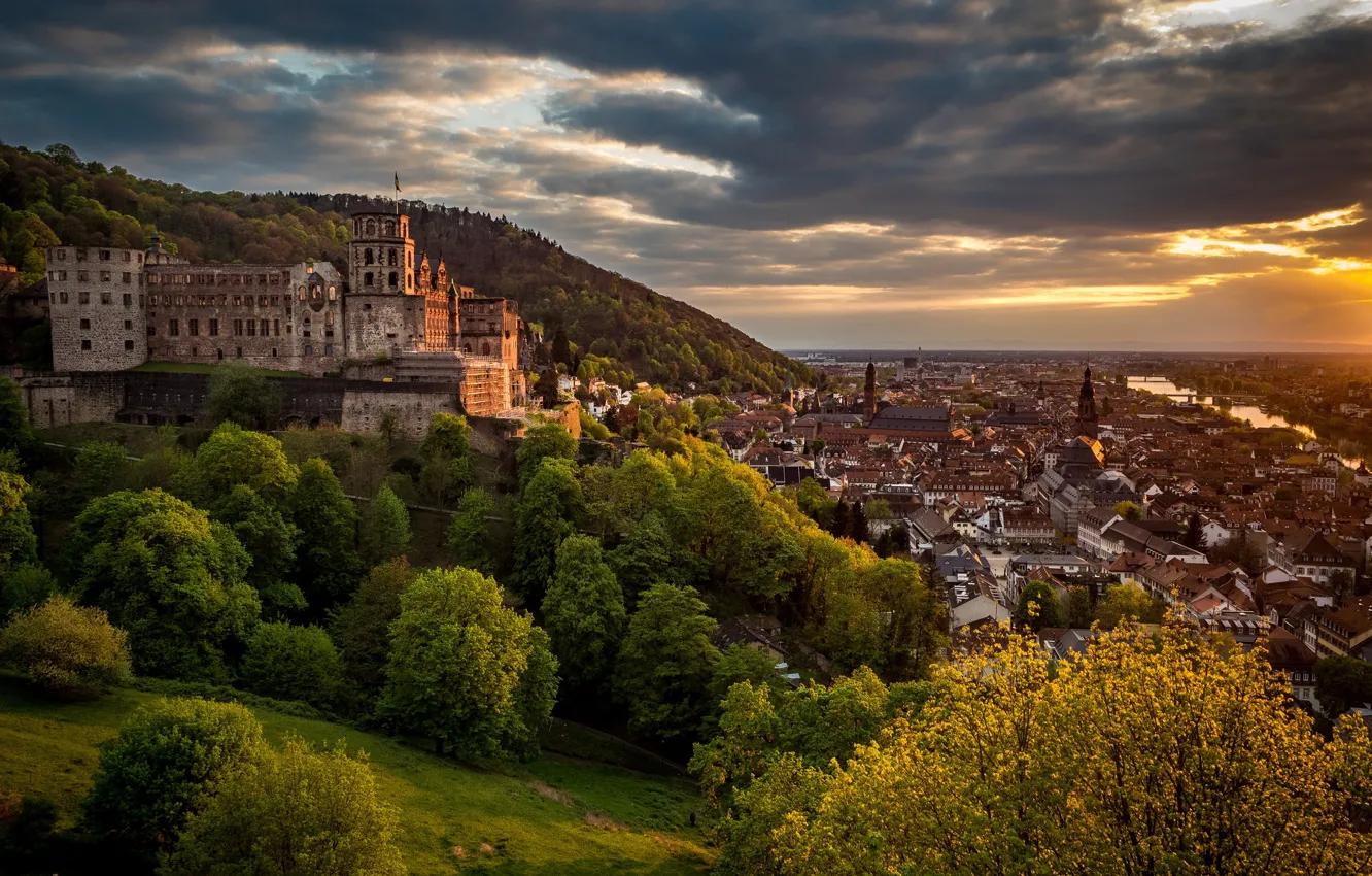 Photo wallpaper trees, castle, Germany, panorama, Germany, Baden-Württemberg, Baden-Württemberg, Heidelberg