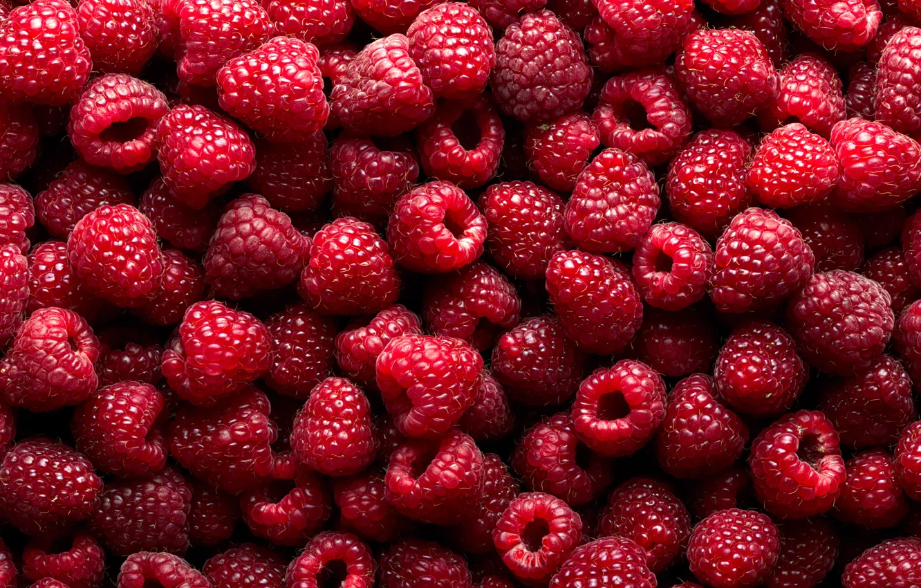 Photo wallpaper red, berries, raspberry, placer, a lot, ripe, juicy