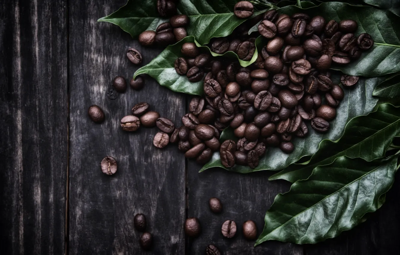 Photo wallpaper leaves, the dark background, Board, coffee, placer, coffee beans