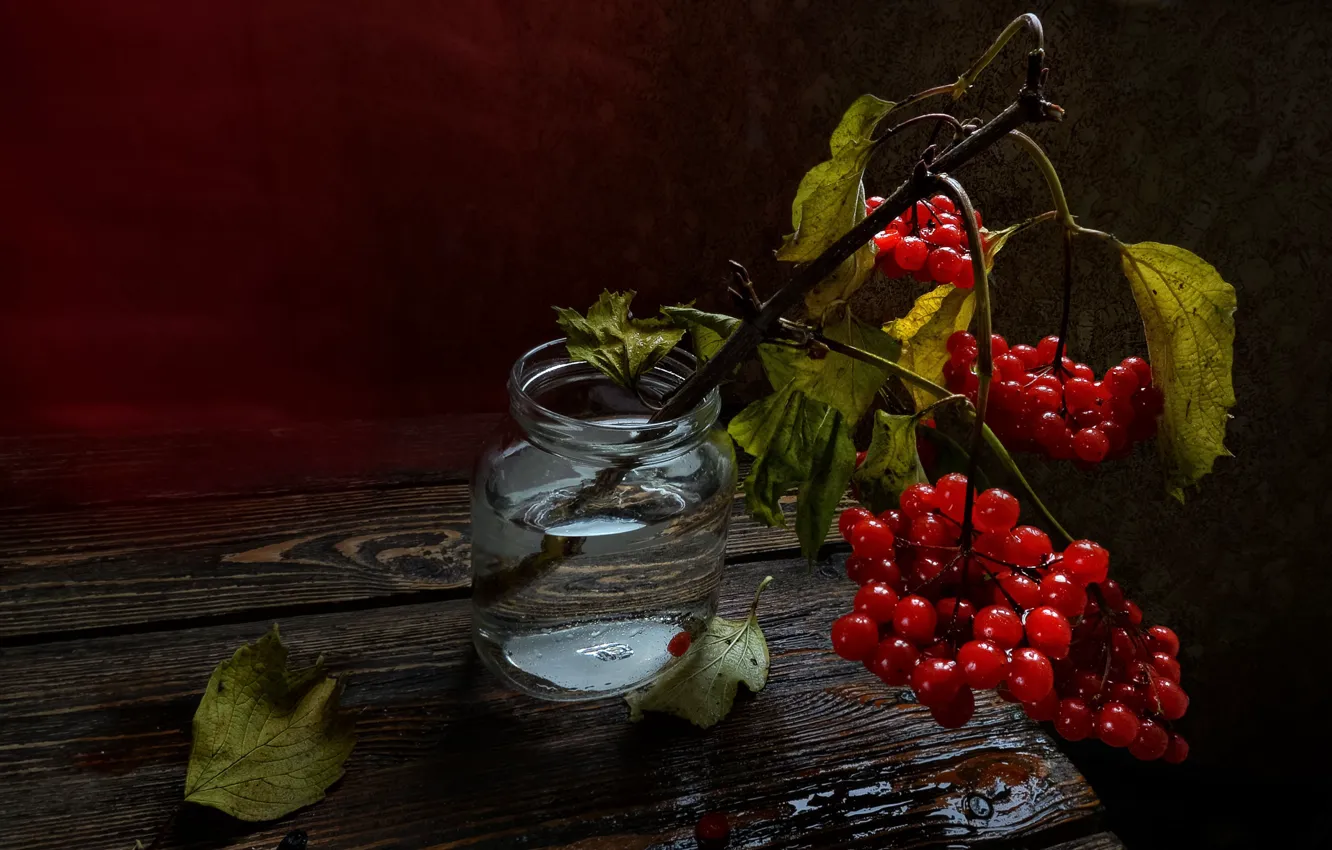 Photo wallpaper berries, bouquet, still life, Kalina