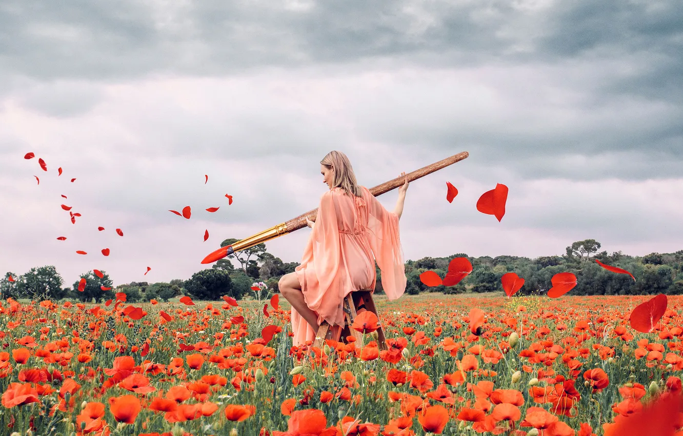 Photo wallpaper field, summer, the sky, girl, clouds, flowers, nature, pose
