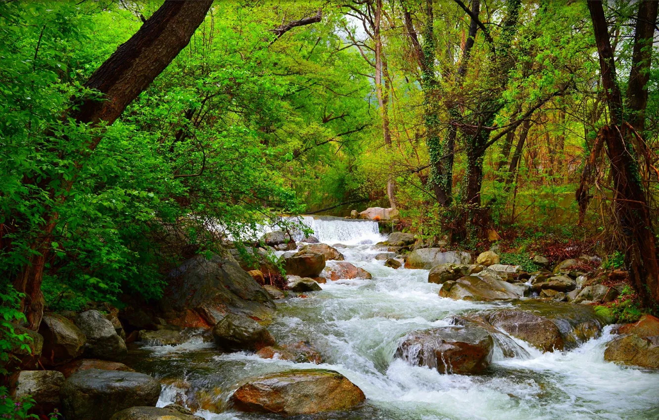 Photo wallpaper river, Greens, Nature, Stream, Spring, Waterfall, Stones, Nature