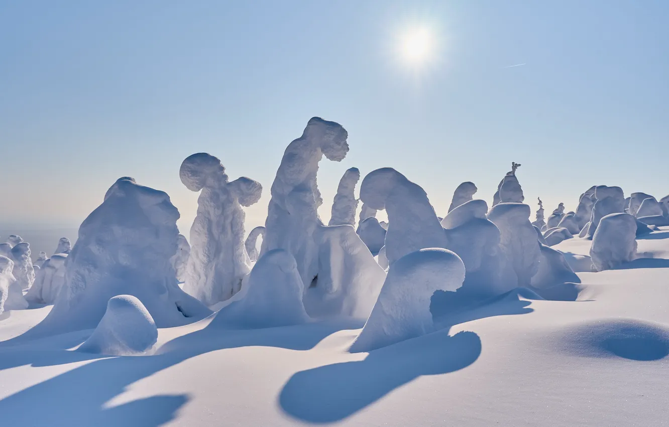 Photo wallpaper winter, the sun, rays, snow, trees, nature, shadow