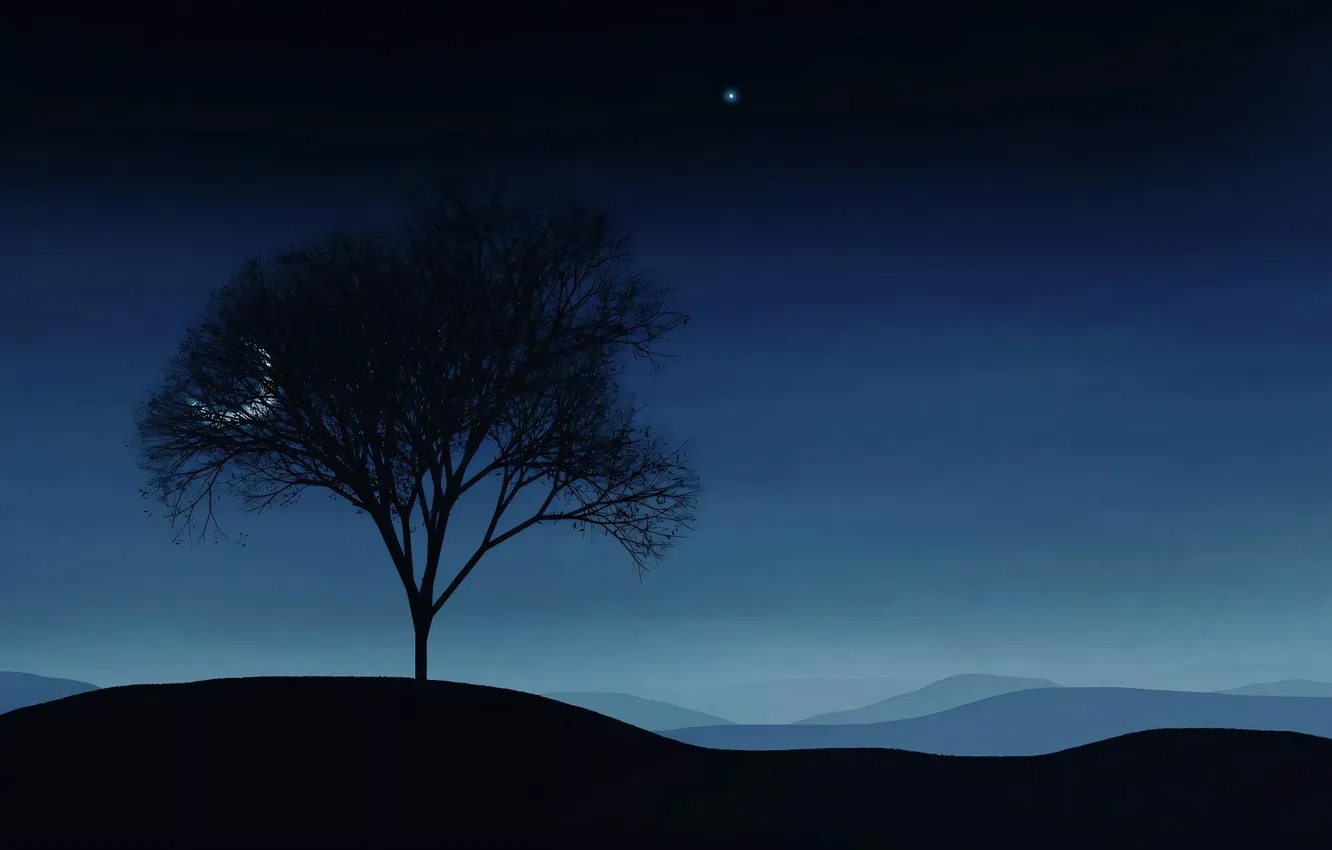 Photo wallpaper trees, night, vladstudio