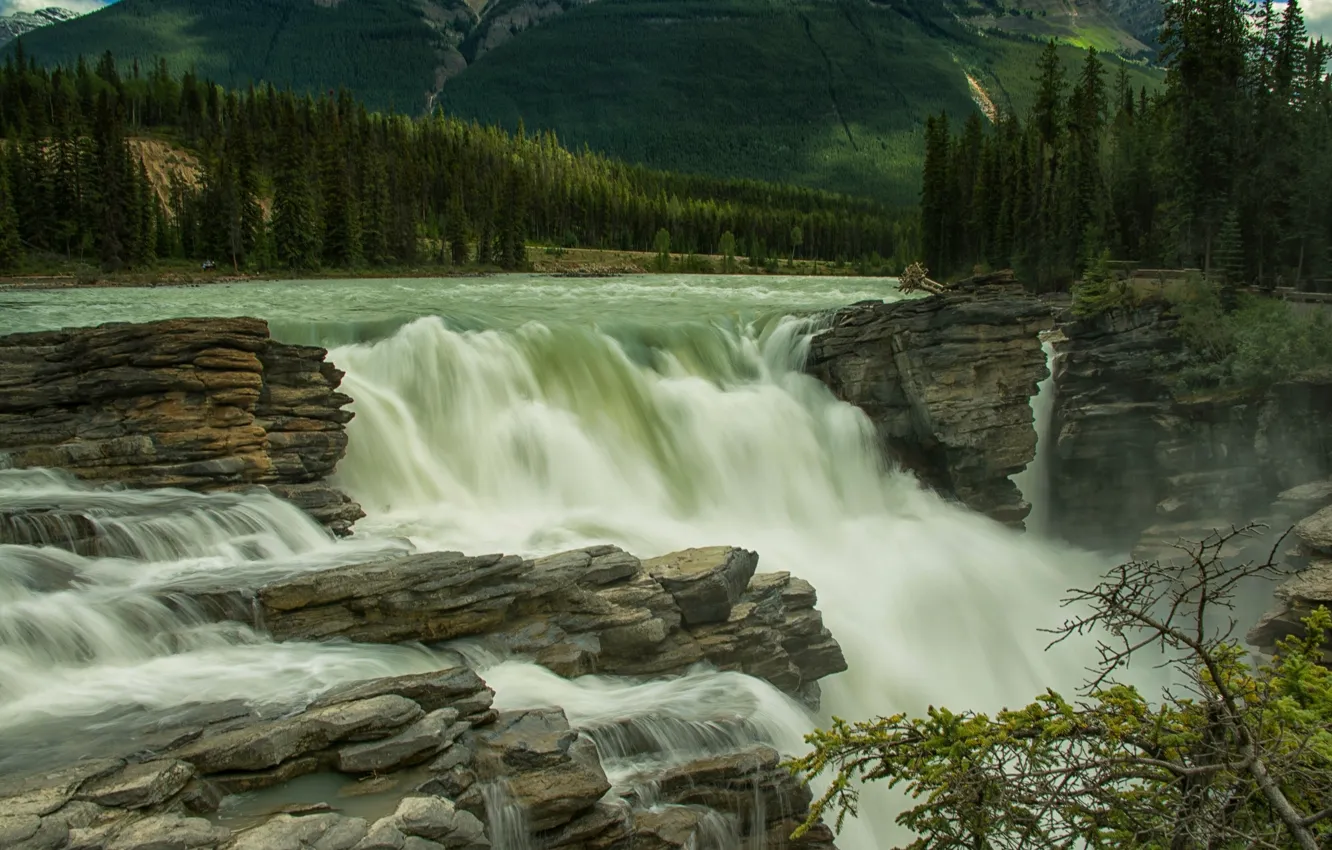 Photo wallpaper forest, trees, river, stones, waterfall, Canada, Albert, Jasper