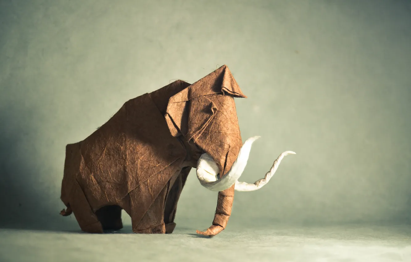 Photo wallpaper animal, brown, origami, mammoth, brown, animal, Fang, origami