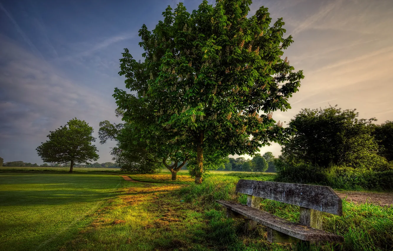 Photo wallpaper field, landscape, sunset, bench