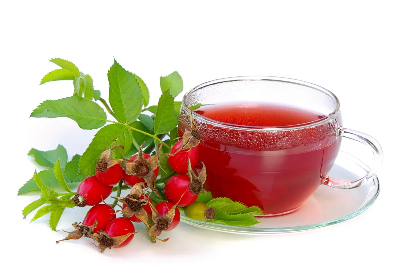 Photo wallpaper leaves, tea, briar, Cup, white background, saucer