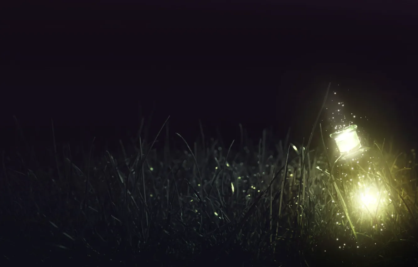 Photo wallpaper grass, glass, light, night, lights, bottle, glass, grass