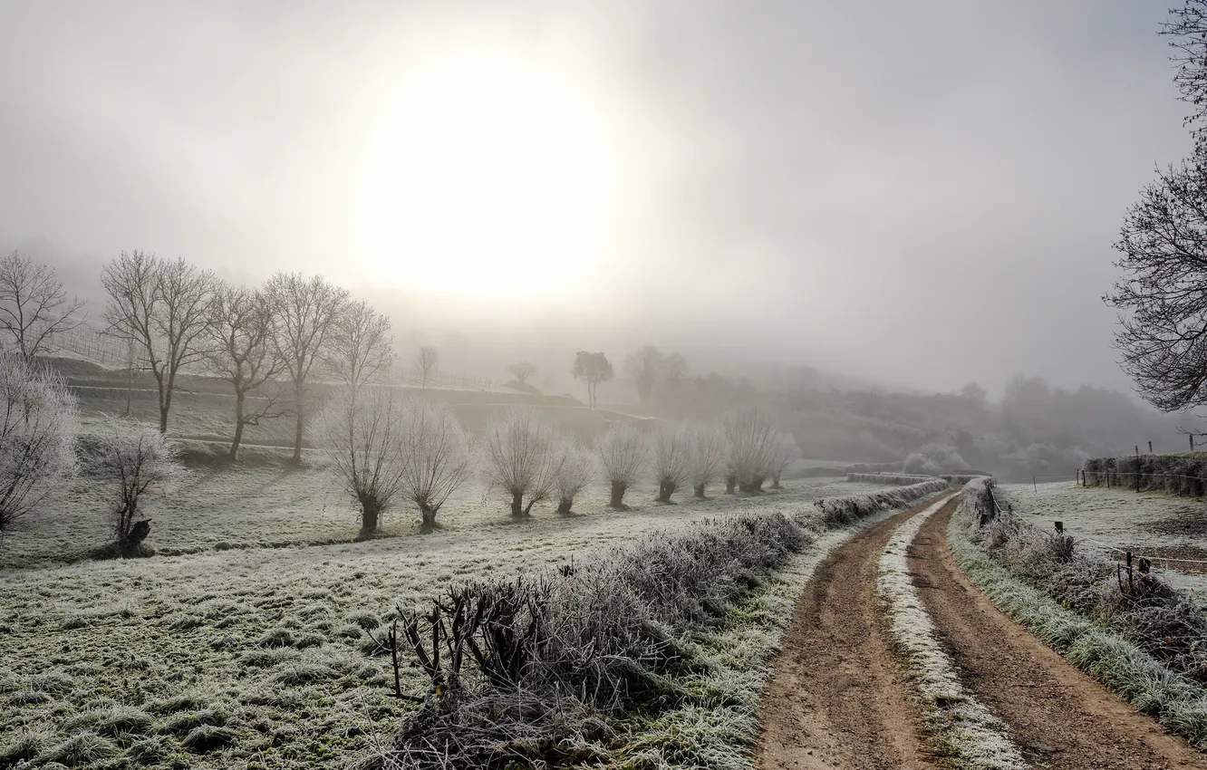 Photo wallpaper winter, road, field