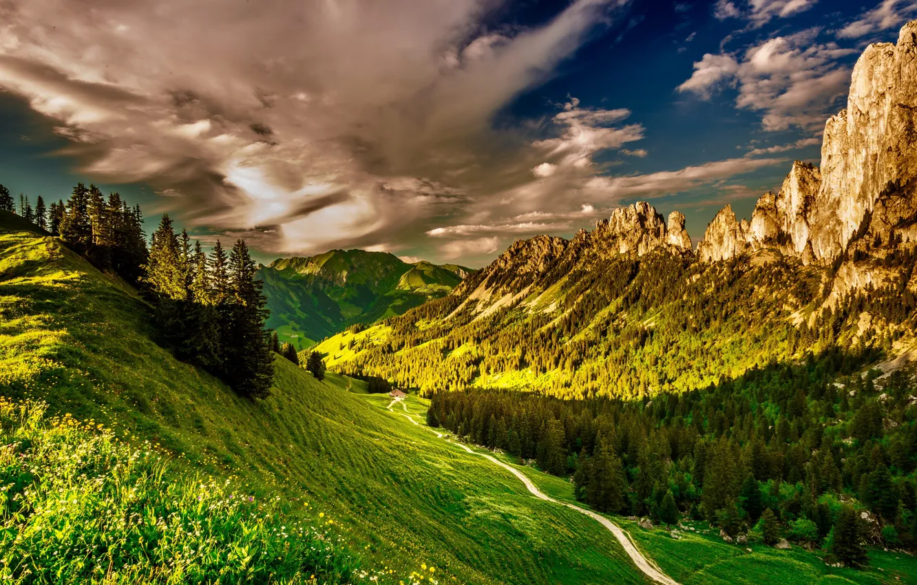 Photo wallpaper greens, forest, the sky, grass, the sun, clouds, trees, mountains