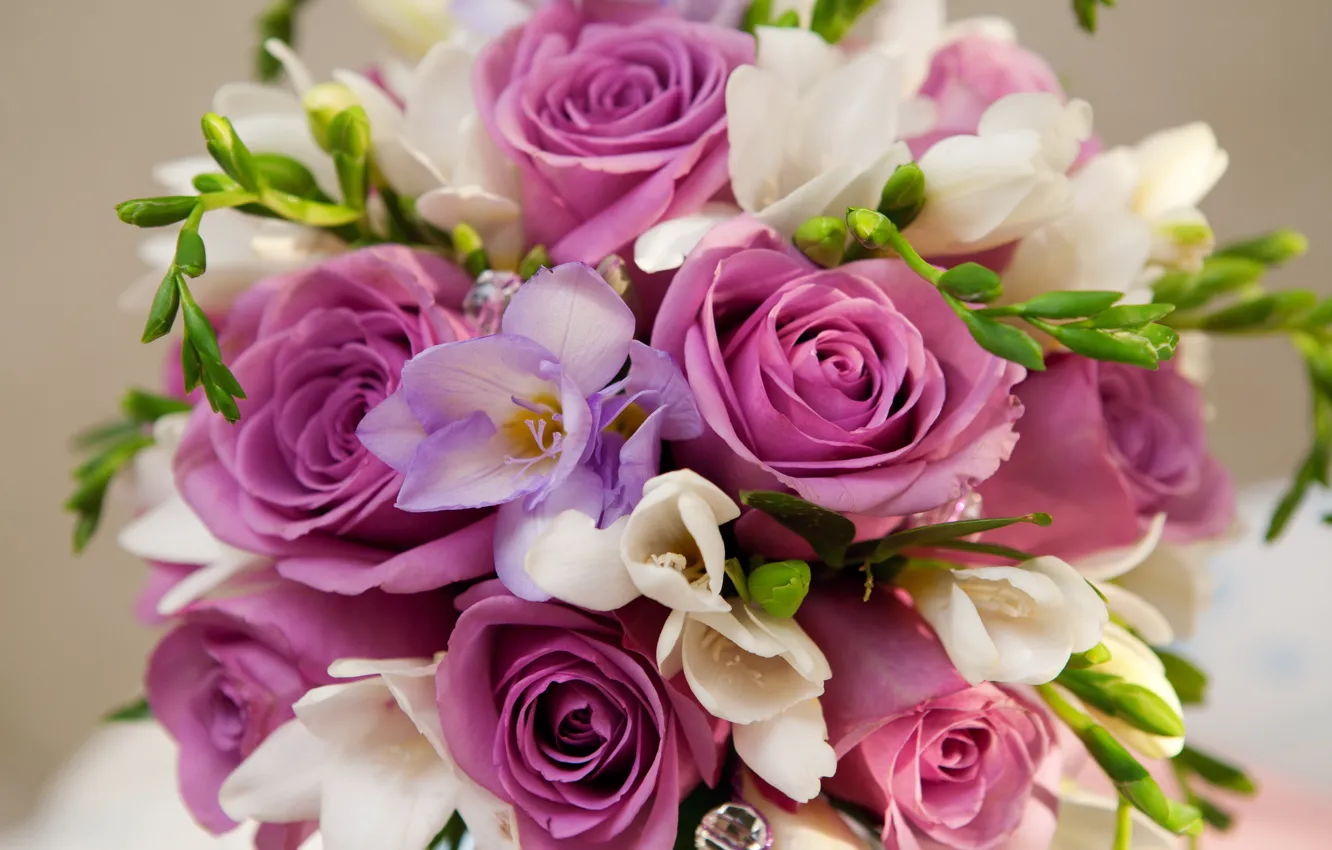 Photo wallpaper purple, flowers, roses, bouquet, roses, Bouquet, Violet Flowers