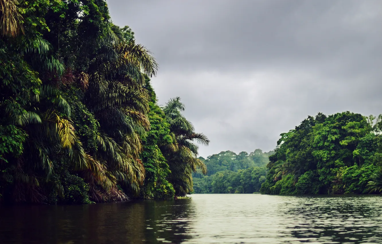 Photo wallpaper forest, clouds, river
