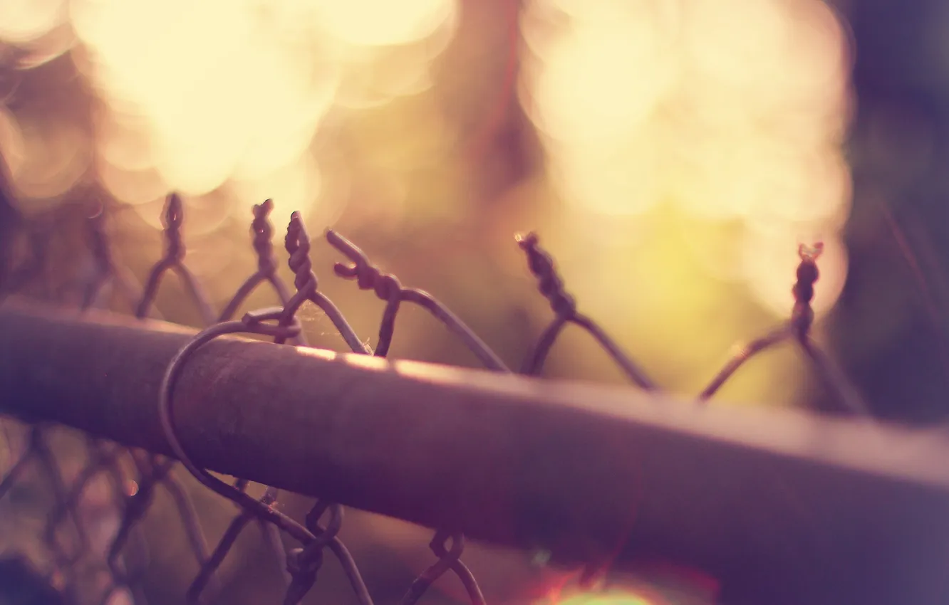 Photo wallpaper macro, the fence, wire