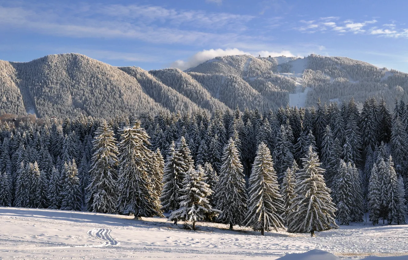 Photo wallpaper winter, snow, trees, landscape, mountains, nature