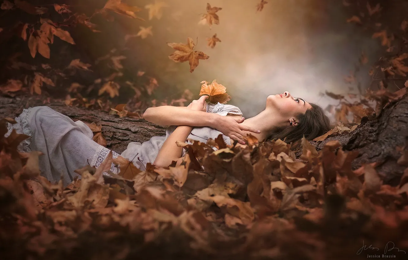 Photo wallpaper LEAVES, MOOD, AUTUMN, FOLIAGE, SUNDRESS, by Jessica Drossin