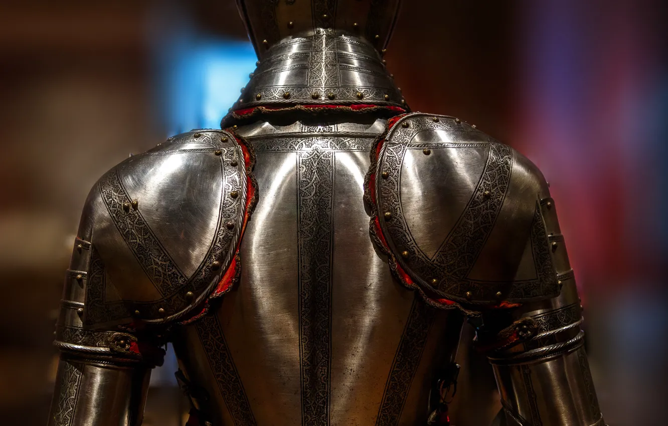 Photo wallpaper metal, background, pattern, armor, knight, rear view