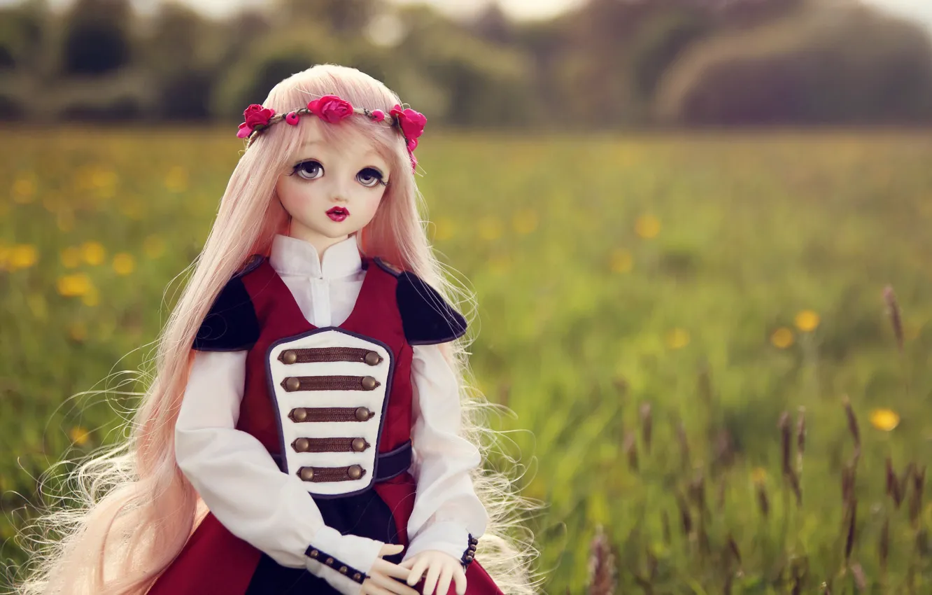 Photo wallpaper field, nature, toy, doll, blonde, wreath, long hair